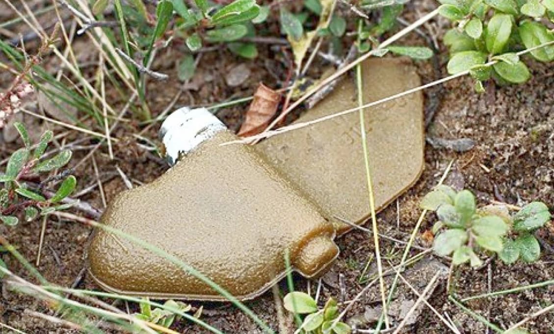 Ukrajina má veľký problém - ľudské práva