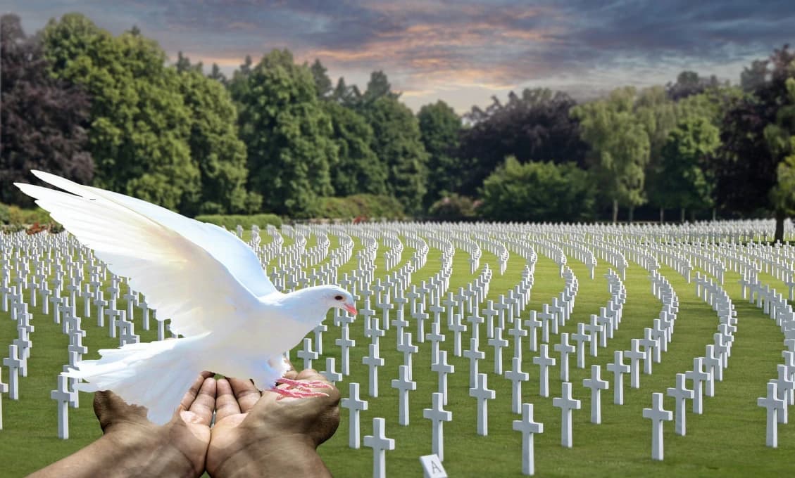 Čím nás tu kŕmia? Svet (okrem USA a NATO) žiada ukončiť vojnu!