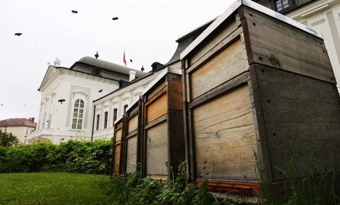 Prezidentský palác má už štyri včelie rodiny