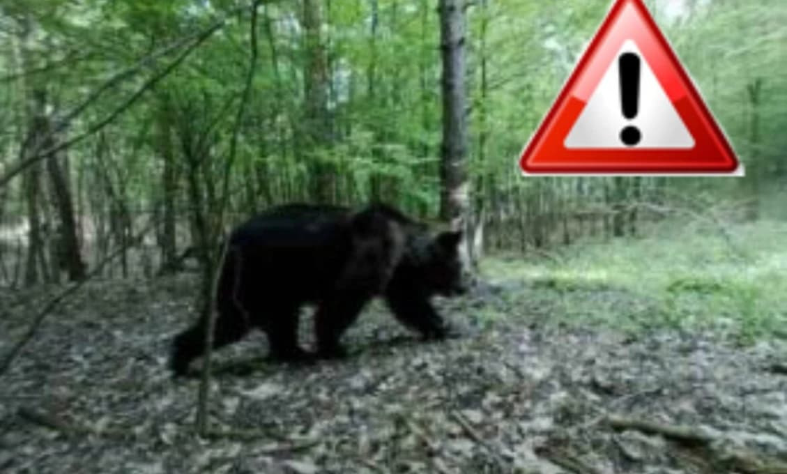 Známy komik prvýkrát o desivej autonehode: Vidím život inak, zveril sa