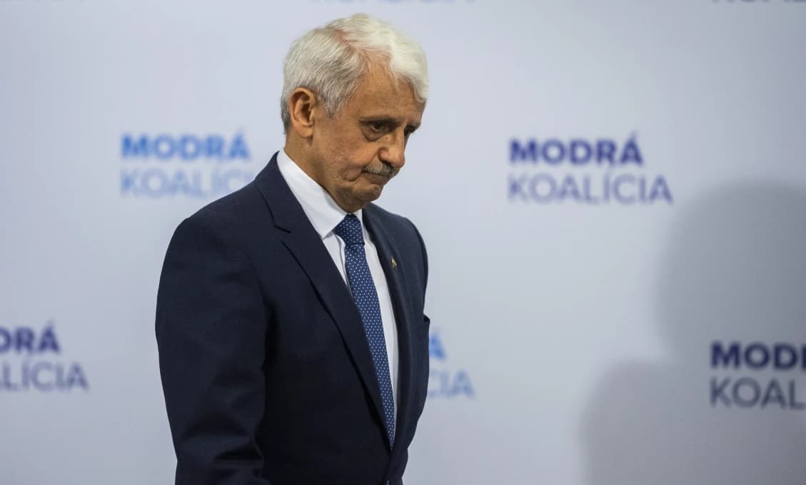 Za prisťahovalectvom sú aj medzinárodné záujmy mafie (Loretta Tóth)