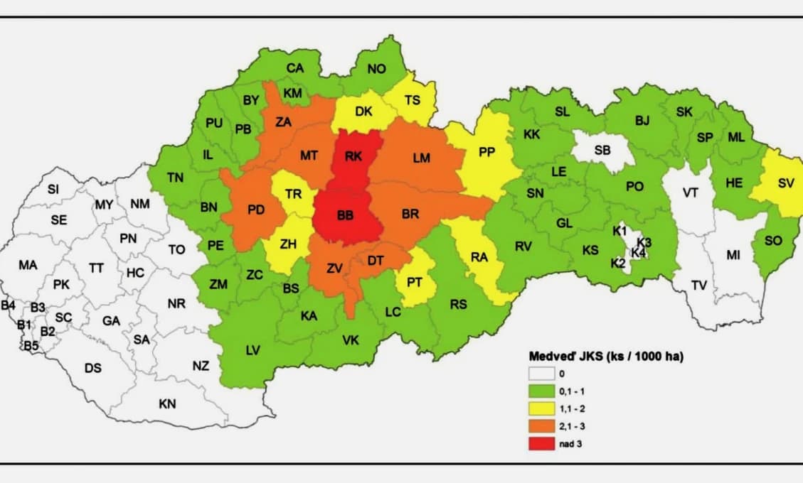 MŽP posilní zásahové tímy, konať budú môcť v prípade rizikového medveďa