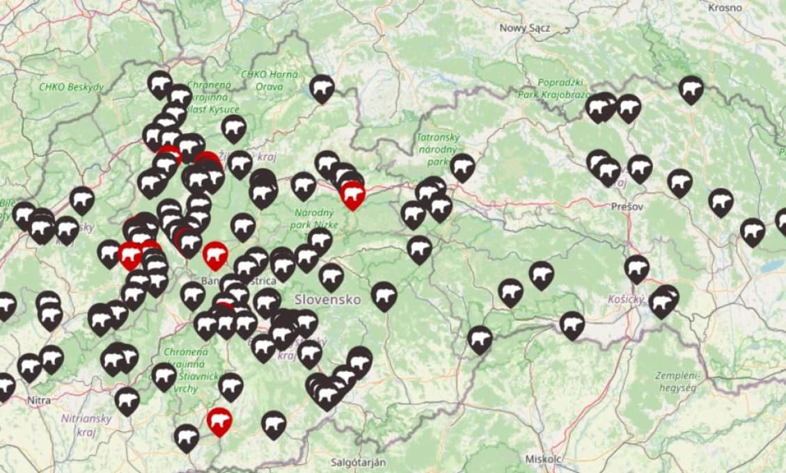 Medvede a ich výskyt pre priebežnú informáciu