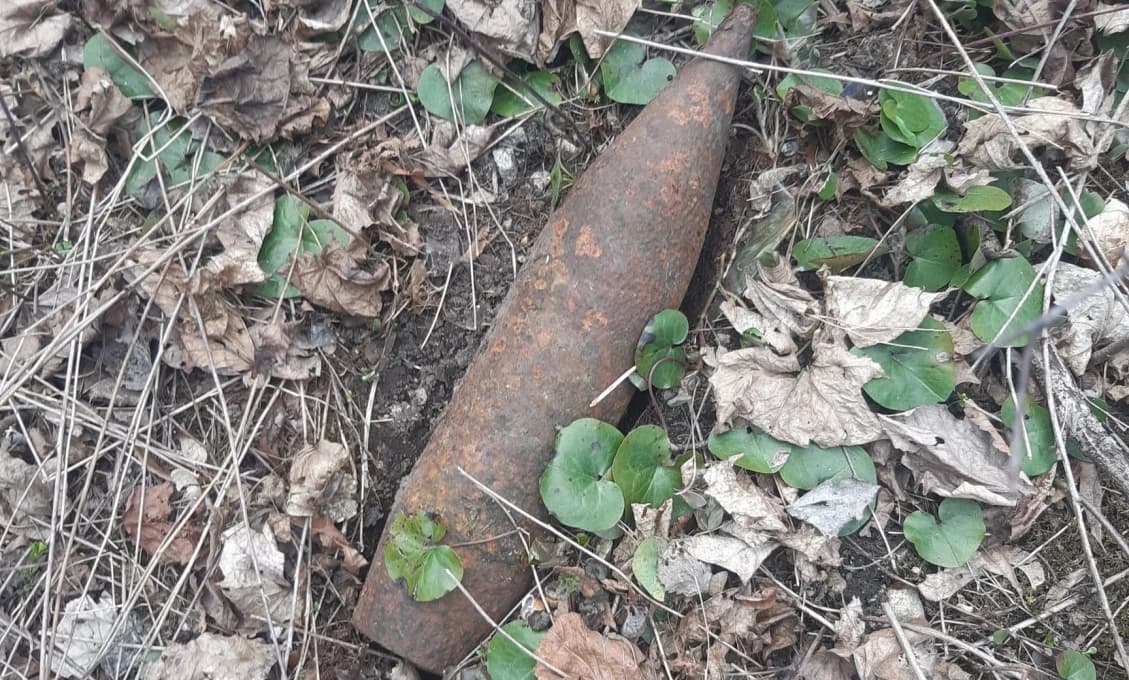 Miesto hríbov našiel v lese granáty z druhej svetovej vojny
