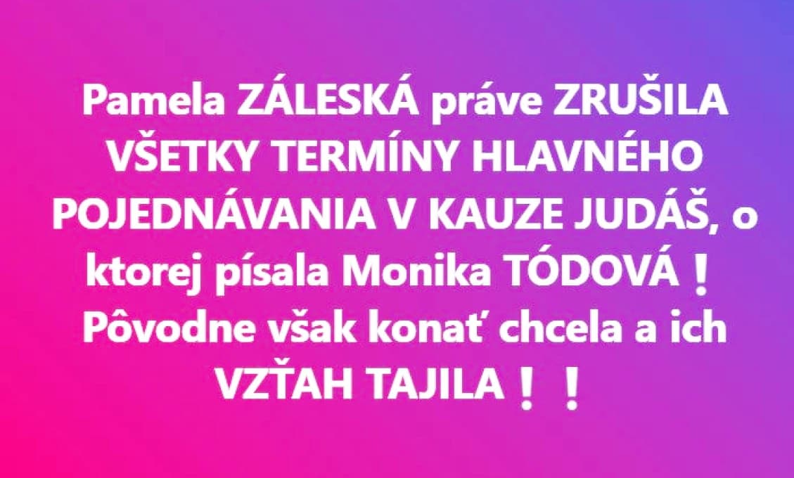 Mimoriadne - výrečný status obhajcu Mareka Paru