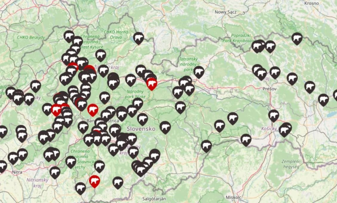 Horehronská obec VARUJE pred medveďom: Ukázal sa neďaleko školy