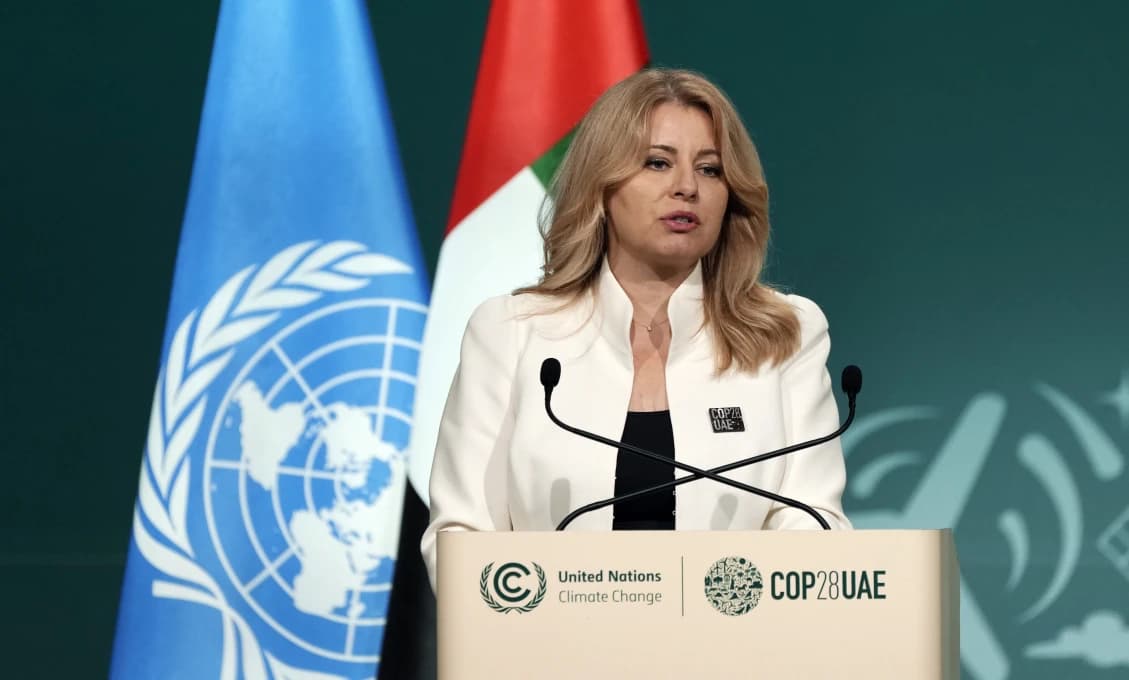 Ľudstvo sa rúti do priepasti, uviedla prezidentka na klimatickej konferencii