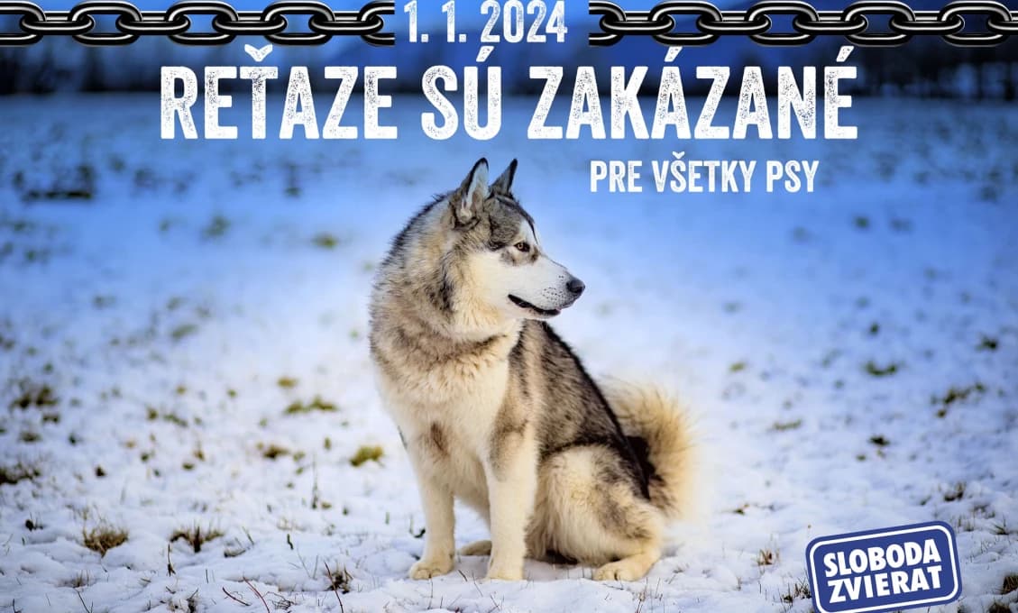 A je po Silvestrovskej paráde! ZVIERATKÁ dostali prednosť. Plus veľký darček navyše pre našich verných kamarátov