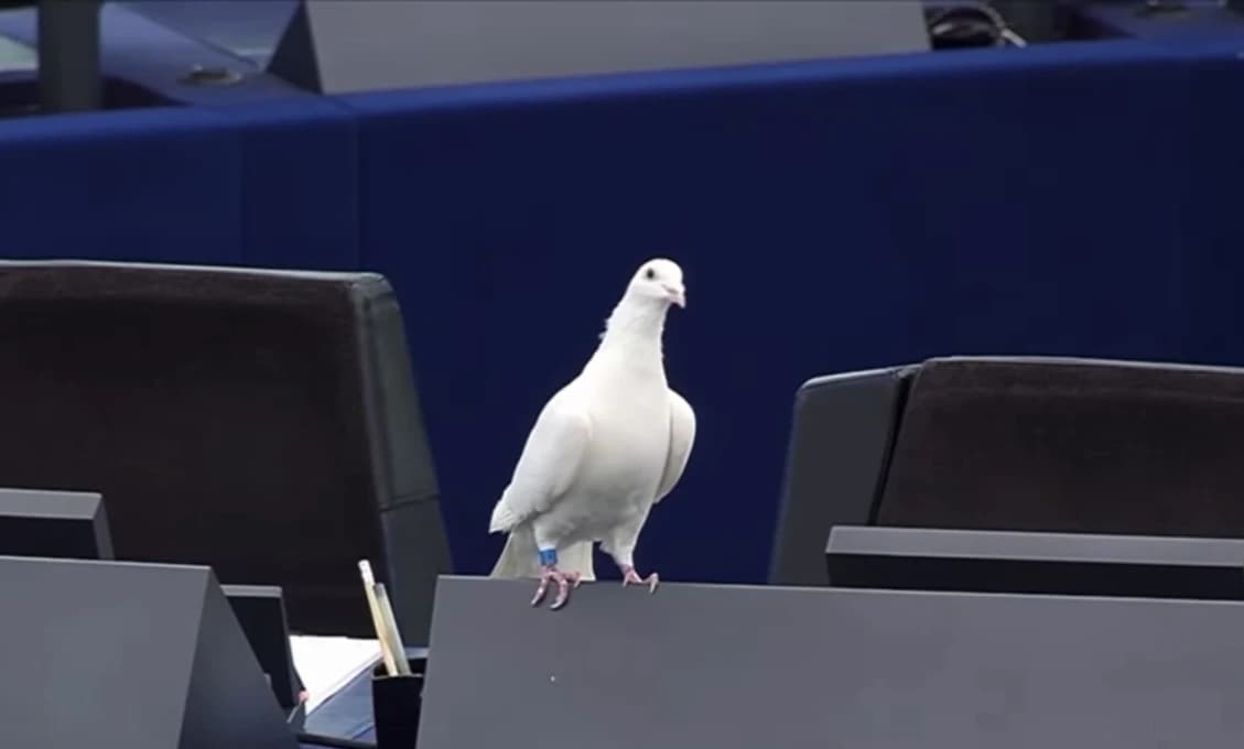 Slovenský europoslanec urobil nevídané gesto (VIDEO)