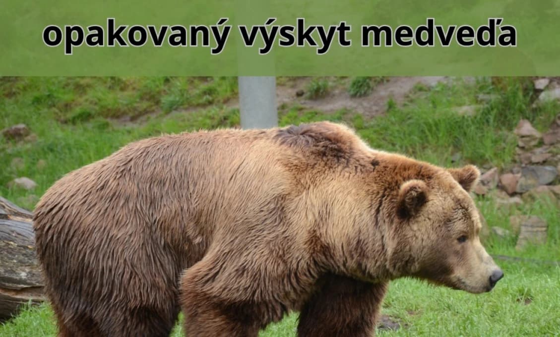 Japonské spoločnosti sťahujú zamestnancov z Iránu. Vydali tiež zákaz cestovať na Blízky východ