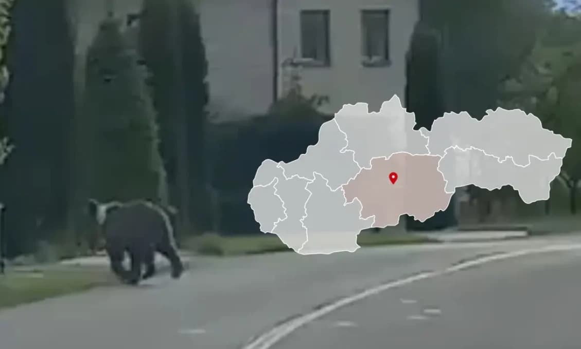 VIDEO: Kvôli obrovskému požiaru v ropnej rafinérií muselo byť evakuovaných až 5000 ľudí