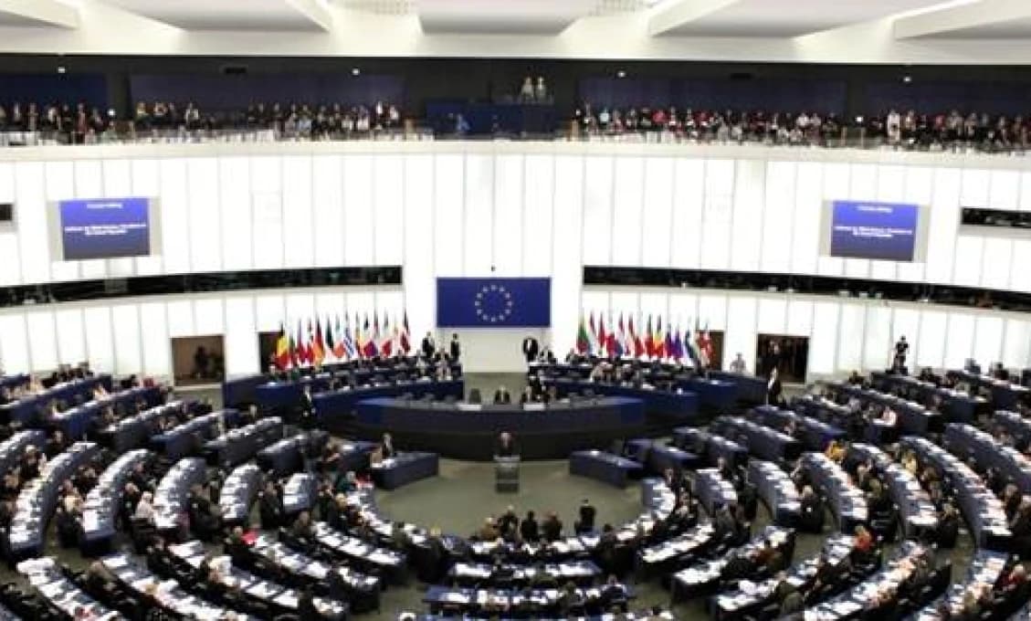 Reakcie víťazov po zverejnení oficiálnych výsledkov