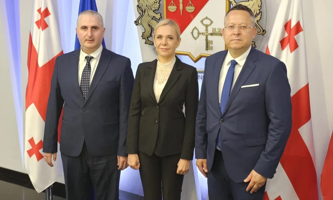 Vláda pracovne v Gruzínsku