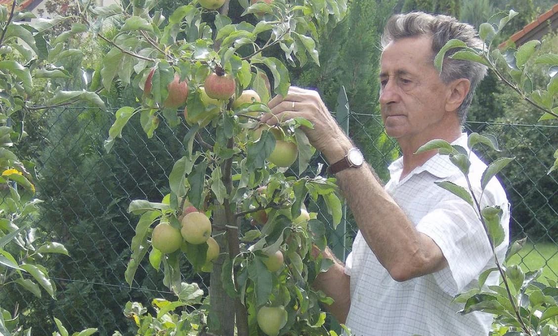 Slovensko prišlo o legendu! Zomrel kráľ ovocinárstva Ivan Hričovský (†92)
