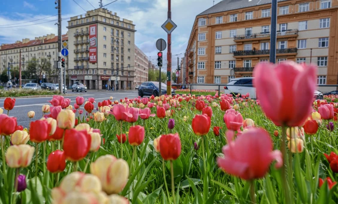 Noc v Bratislave zdražela: Turisti siahajú hlbšie do vrecka