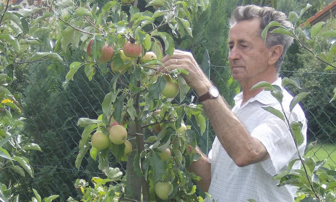 TOP 10 vzácnych rád od nezabudnuteľného profesora Hričovského. Platia pre všetky generácie!