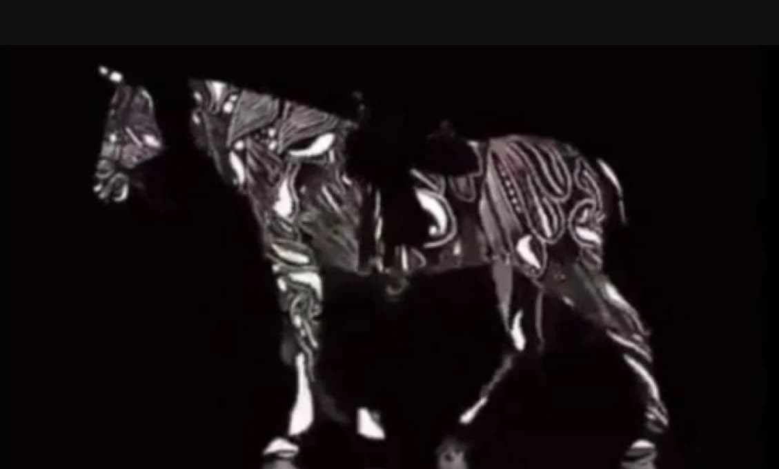Virálne video, ktoré pobláznilo svet. Ktorým smerom vidíte ísť koňa vy?