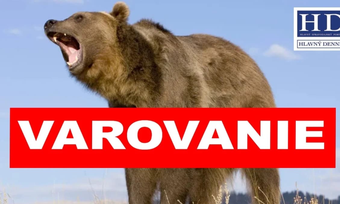 POZOR, medveď na Kysuciach! Obyvatelia neverili vlastným očiam