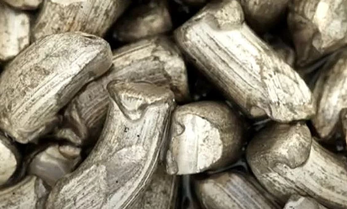 Rozhodne o ukončení vojny na Ukrajine lítium?