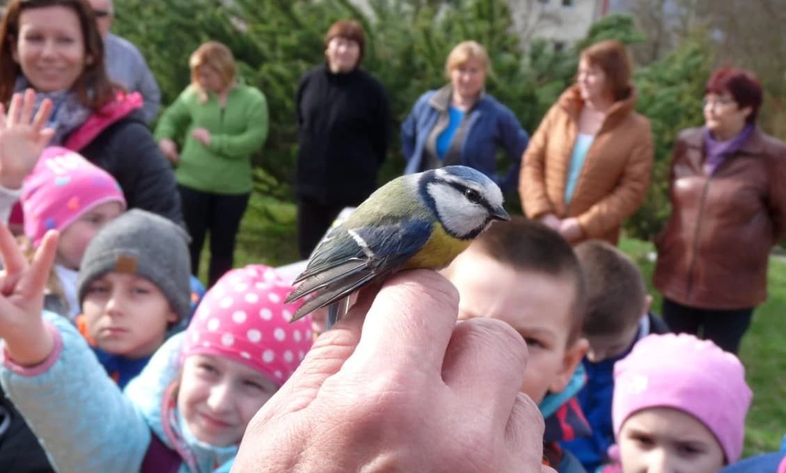 ALARM V KOŠICKEJ ZOO: Našli smrteľný vírus H5N1, zoo museli ZATVORIŤ