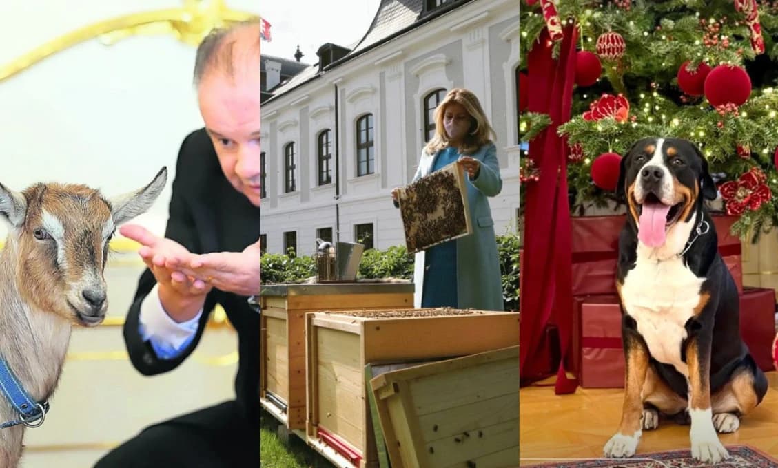 Zvierací nájomníci v Prezidentskom paláci
