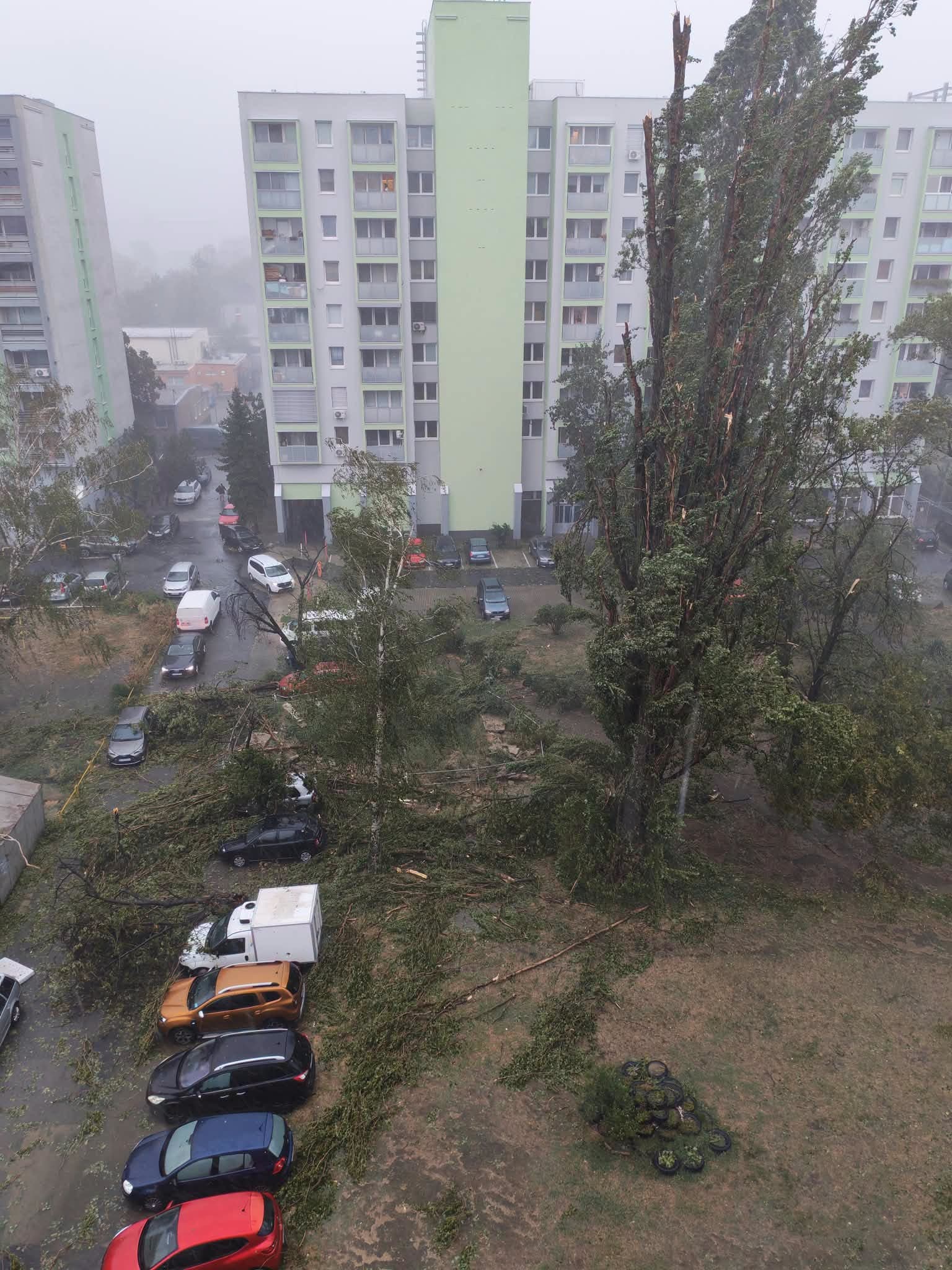 MIMORIADNE: Bratislavu zasiahla poriadna smršť! Vietor a lejak lámali všetko, čo im stálo v ceste