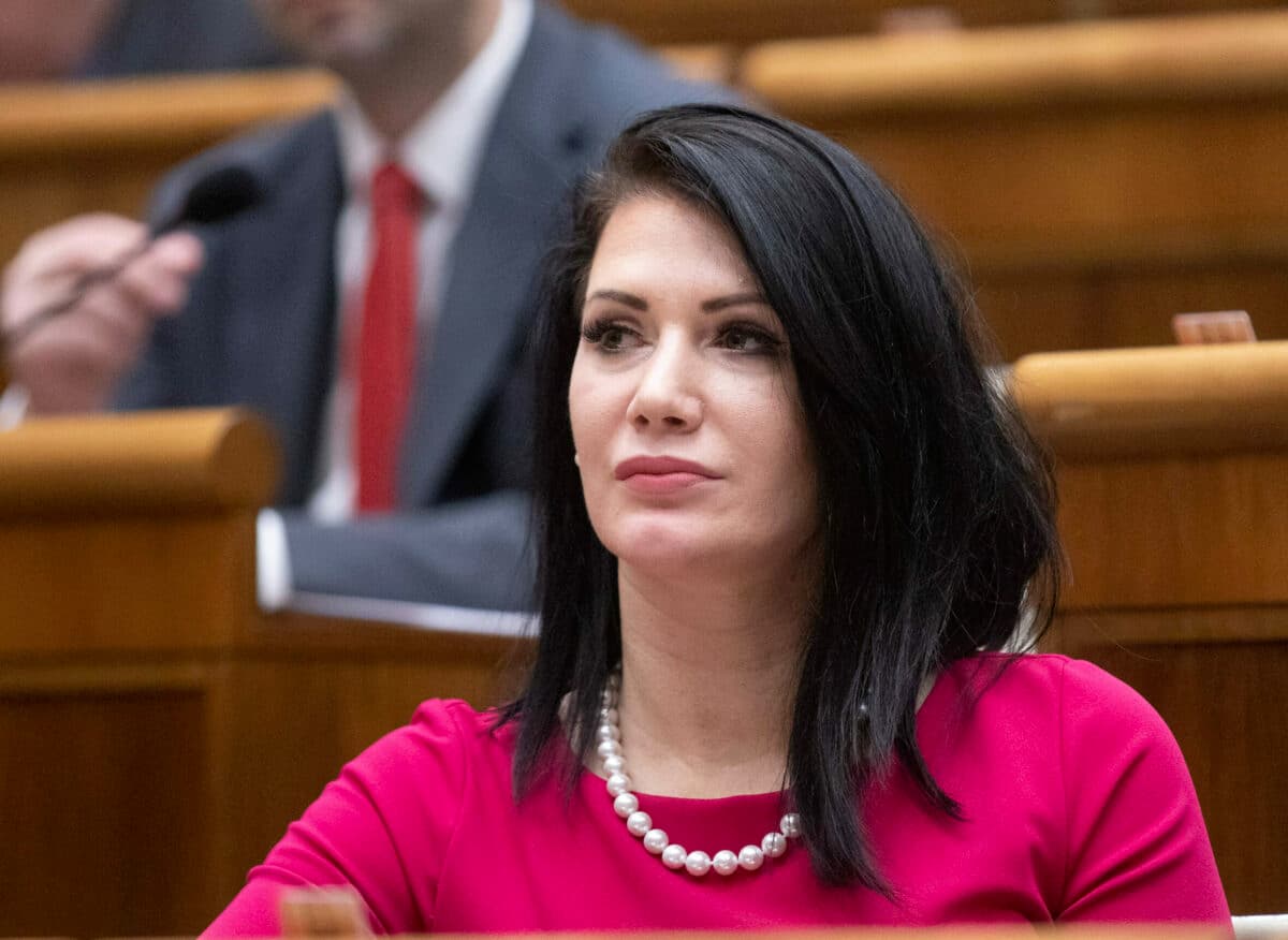 ODVOLANIE TARABU BOLA STRATEGICKÁ CHYBA! - vysvetľuje Cigániková pomýleným šimečkovcom (VIDEO)