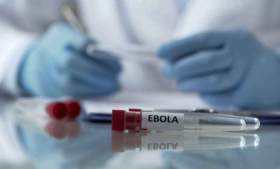 Ilustračný obrázok ebola