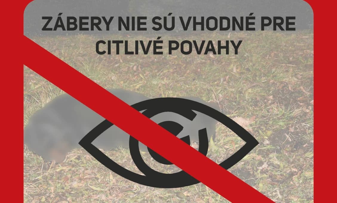 Agresívny pes v Leviciach napadol a zranil troch ľudí vrátane dieťaťa