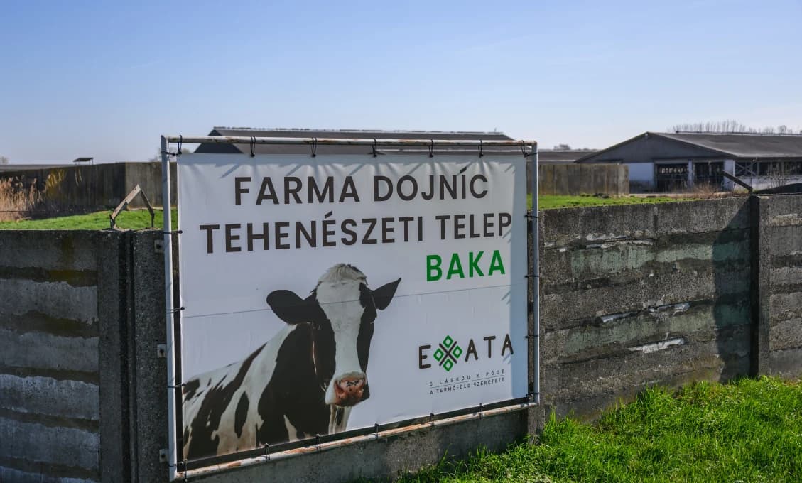 Envirorezort ZAKÁZAL zakopávať utratené nakazené zvieratá na Žitnom ostrove