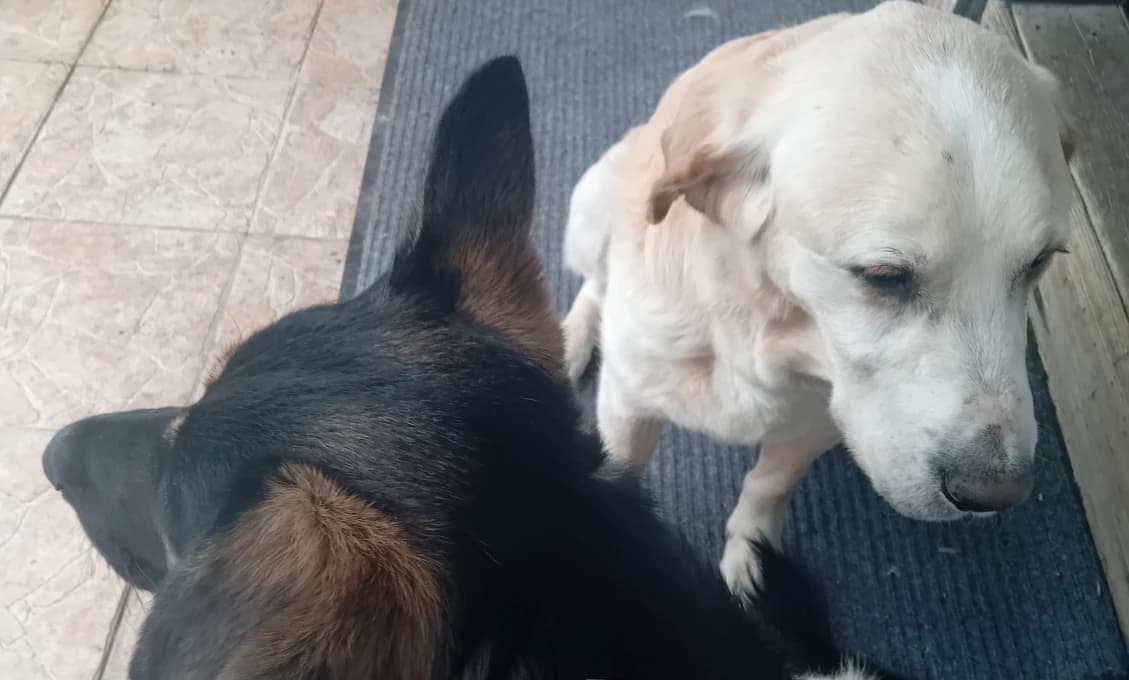 Vieme, kto čo neurobí, za čo nezahlasuje, ale nevieme, kto čo urobí