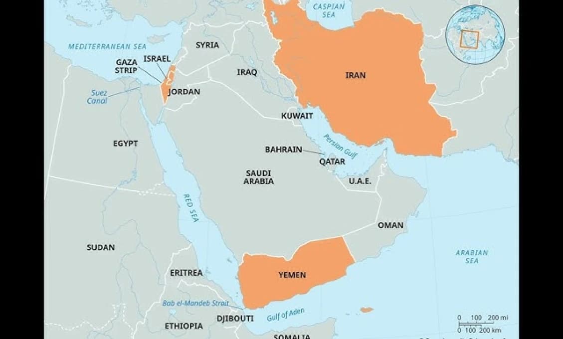 Africký mor opäť silnie, v Košiciach zakázali už aj vychádzky do lesa