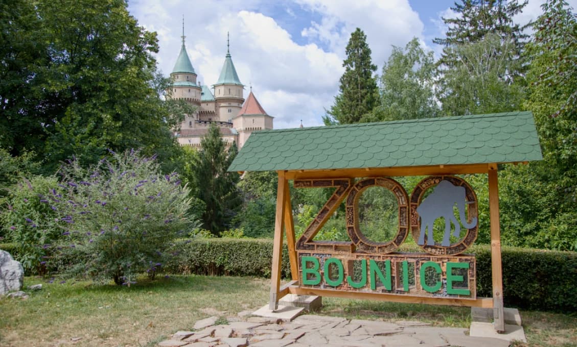 Enviro: Kolekciu zvierat v bojnickej zoo doplnili kapybary močiarne