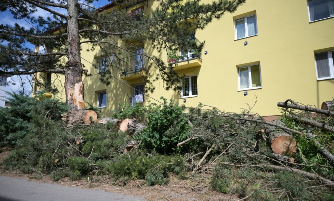 Škody spôsobené víchricou podľa odhadov presiahnu 800.000 eur