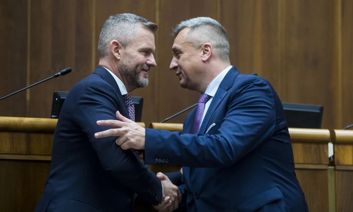 SNS opätovne vyzýva prezidenta, aby konal v prípade tendra na záchranky