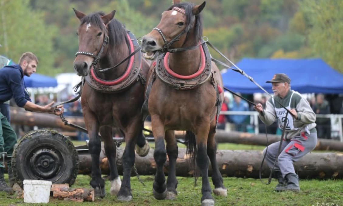 V Pavlovciach súťažia najlepší furmani na majstrovstvách Slovenska