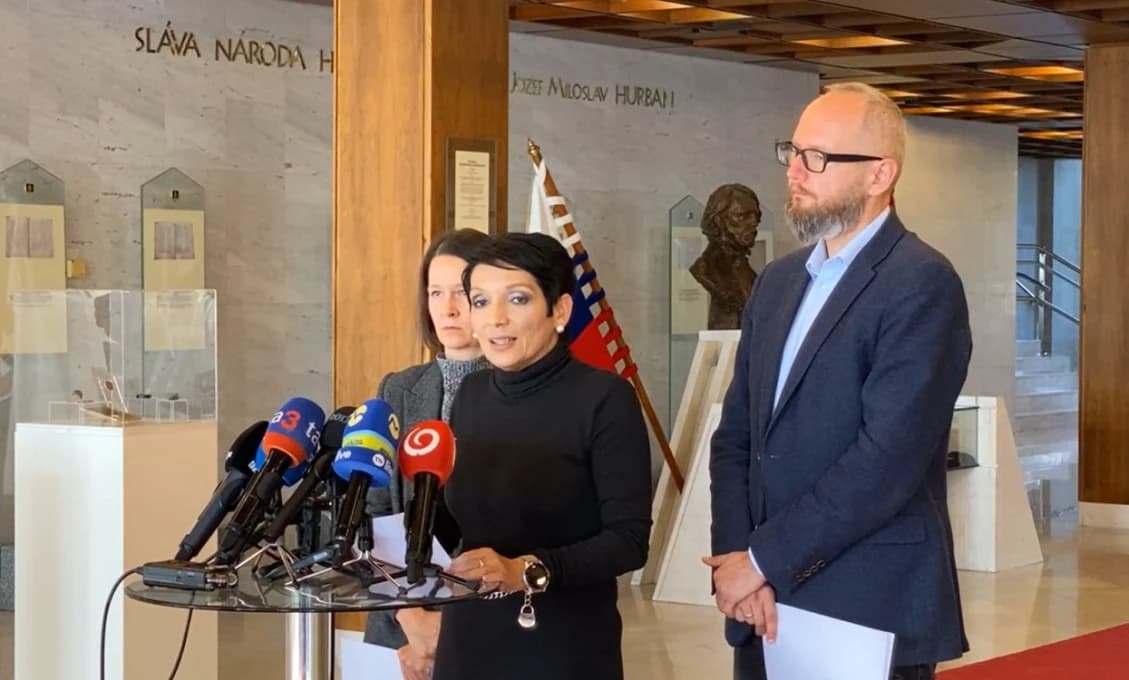 Brat za brata: PS plače, že sa ľudia dozvedia pravdu (VIDEO)