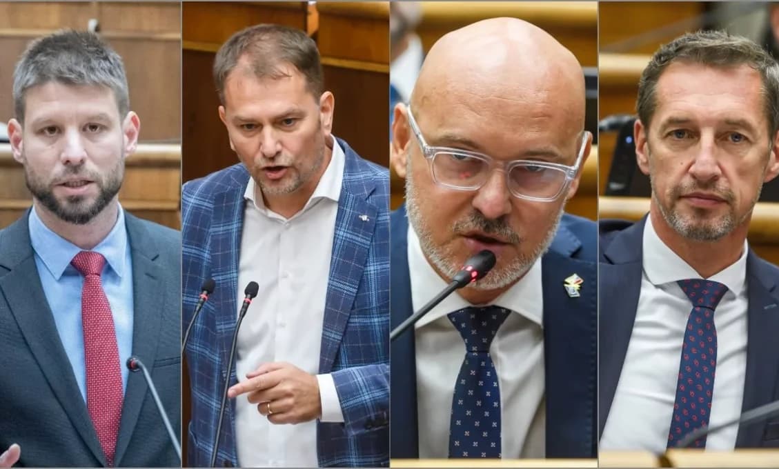 PS, SaS a Matovičovci vo vláde? Na TOTO nezabúdajte!