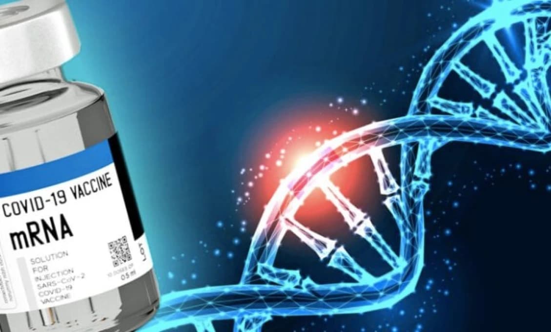Zmenia nám DNA v tele už len svetlom? Vojaci už ladia optogenetiku