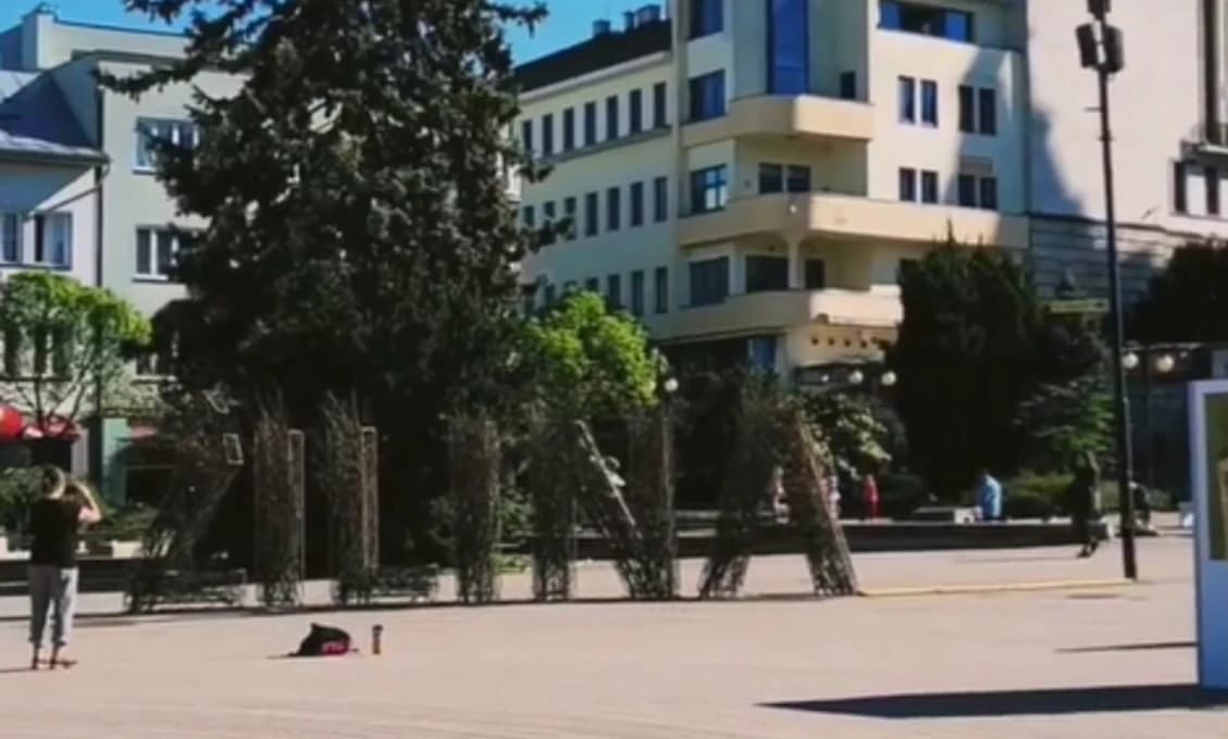 Protest proti progresivizmu sa po Košiciach presúva do Žiliny. Organizátori avizujú ďalšie mestá