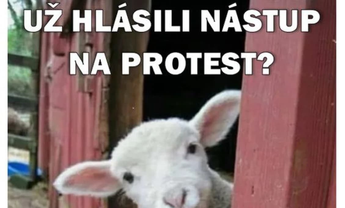 Toto je naša budúcnosť? Niektorí protestujúci sa opustili