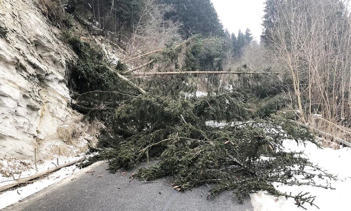 Katastrofa na cestách: Vietor a sneh paralyzujú cesty po celom Slovensku