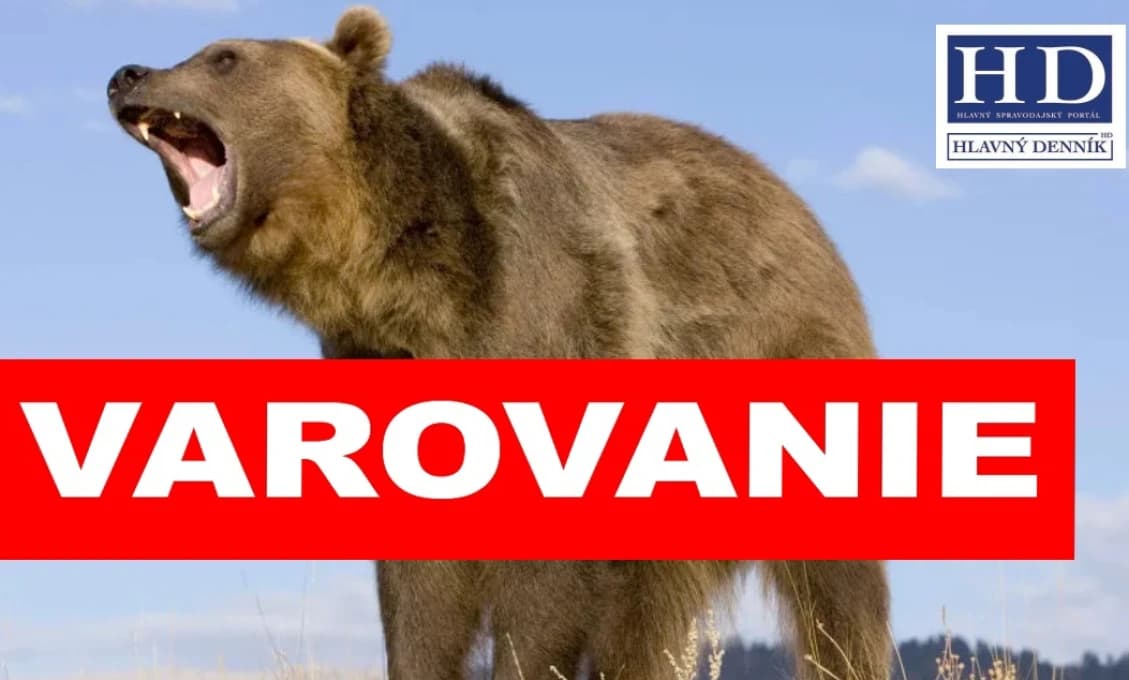 POPLACH VO VIACERÝCH OBCIACH! Medveď len pár metrov od domov. TU buďte opatrní (VIDEO)