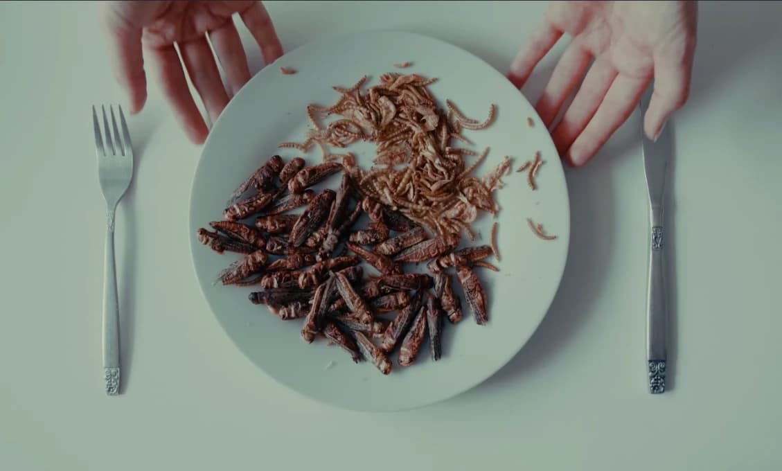 Nechcete konzumovať hmyz? Pri nákupe budete musieť byť pozornejší