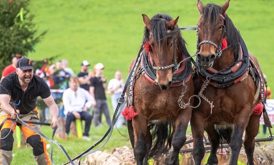 Furmani zo štyroch krajín sa stretnú na podujatí Kamienska Podkova
