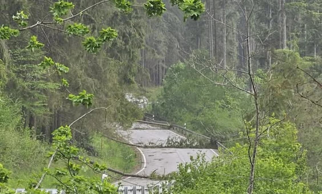 Búrky so silným vetrom už páchajú škody! Stromy padajú, cesta je úplne neprejazdná (FOTO)
