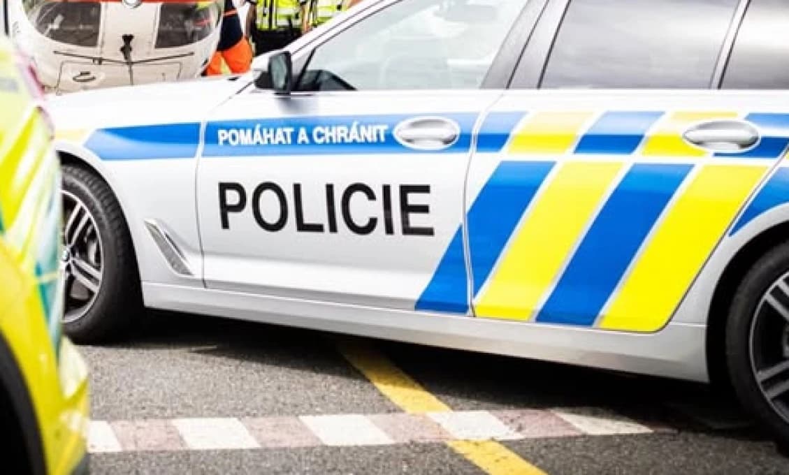 Tragédia v Česku: Matka mala svoje dieťa zabiť po pôrode a hodiť psom, polícia koná