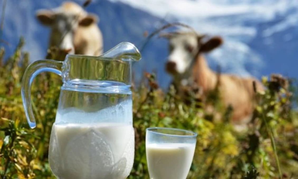 Poplach na Slovensku! Pozor na surové mlieko. Potvrdili nebezpečný vírus