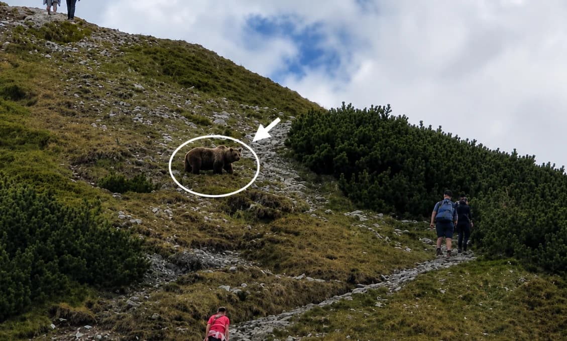 Zábery, z ktorých mrazí! Turisti sa otočili a neverili vlastným očiam (VIDEO)
