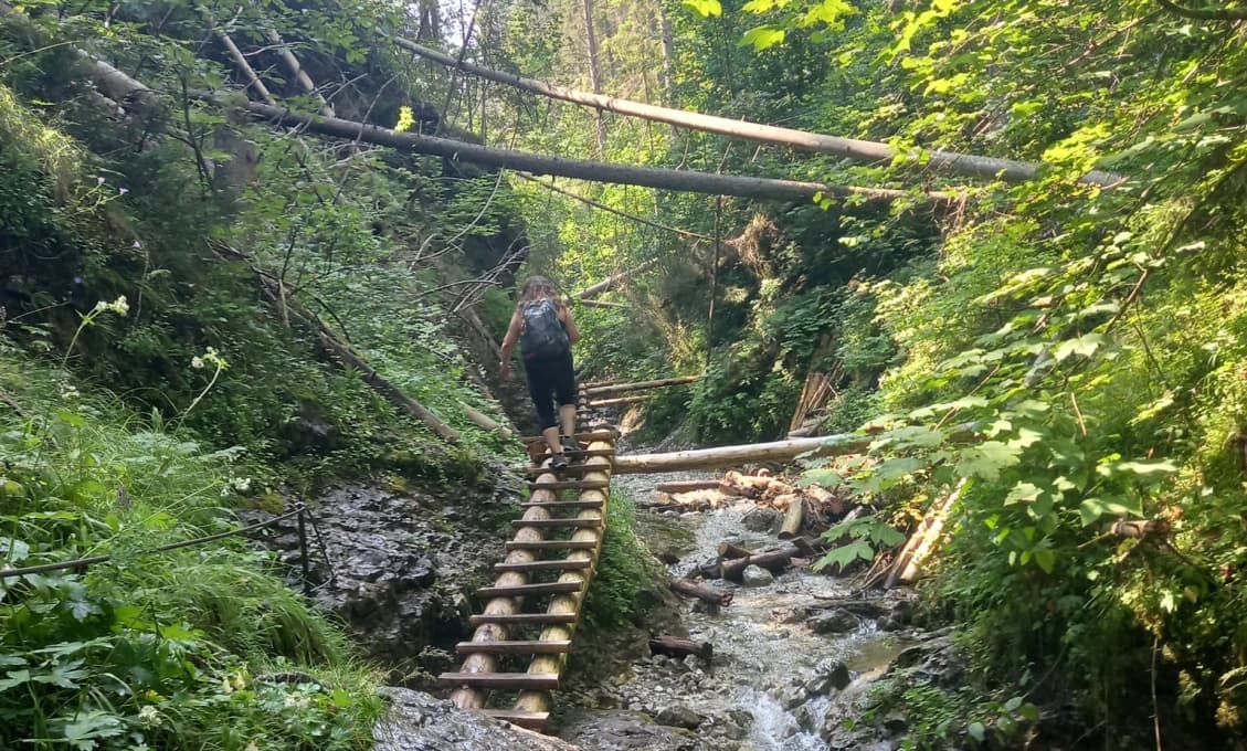 Turizmus: Rokliny v Slovenskom raji sú opäť otvorené